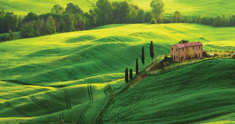 Tuscany in One Day Sightseeing Tour
