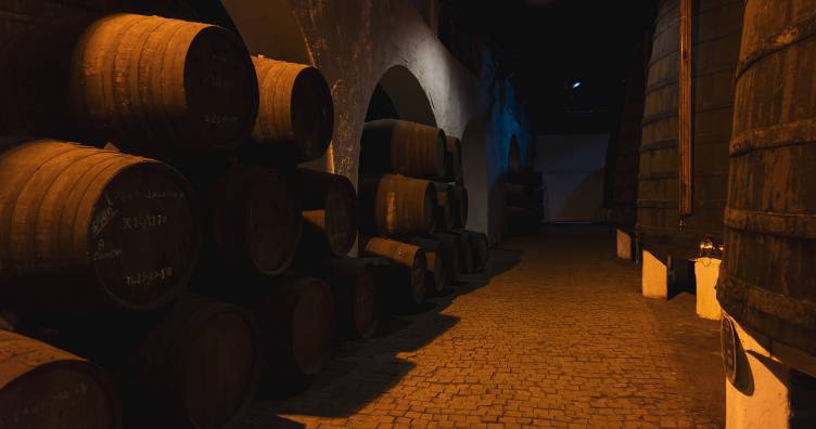 Porto Wine Lodges Tour